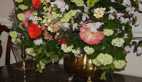 Early bloomers